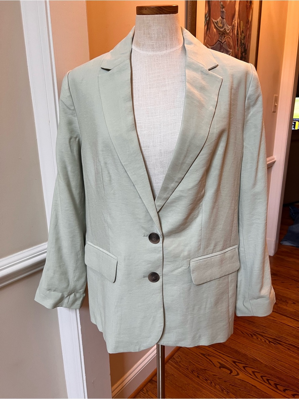 a new day -Sage Single-Breasted fully lined back plate loose fitting Blazed